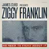 Ziggy Franklin - No Need To Fight About It